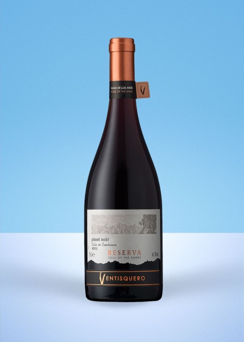 2019 Ventisquero Pinot Noir Reserva