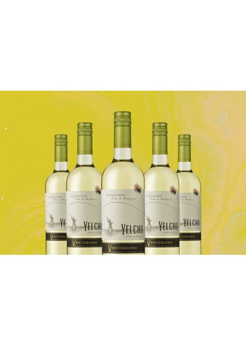 2019 Yelcho Sauvignon Blanc Reserva Especial 12-Bottle Case