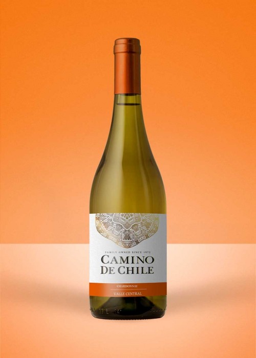 2023 Camino de Chile Chardonnay