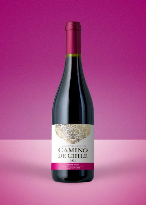 2023 Camino de Chile Pinot Noir